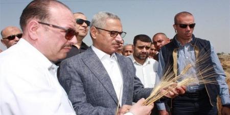 في أجواء احتفالية.. انطلاق موسم حصاد القمح بمحافظة بني سويف