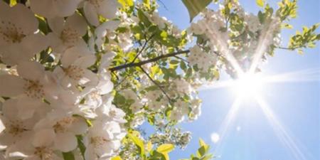 طقس الإثنين 20 أبريل 2026 في مصر.. أجواء متقلبة بين حرارة النهار