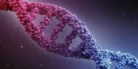 تشريعية النواب: الـ DNA كلمة السر في قضايا النسب القادمة
