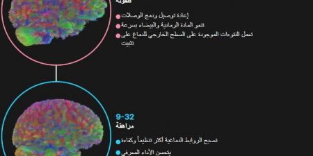 لماذا يُعتبر سن 69 بداية الشيخوخة؟..العلم يجيب