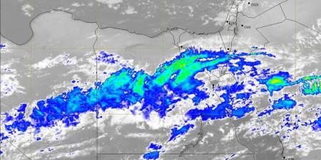 شمس دافئة وأجواء ربيعية معتدلة .. طقس محافظة الشرقية اليوم الأحد