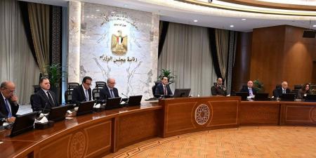 الجريدة الرسمية: اسقاط جنسية مواطنين لالتحاقهما بالخدمة العسكرية بدولة أجنبية