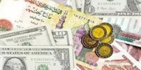 أسعار صرف العملات الأجنبية مقابل الجنيه المصري في البنوك اليوم الأحد