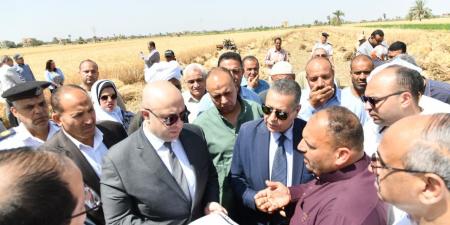 محافظ الفيوم يفتتح موسم حصاد القمح بأحد الحقول الزراعية بقصر رشوان
