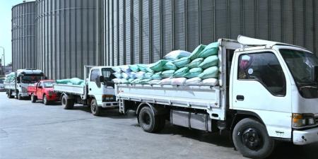 البحيرة: توريد 1255 طن قمح للصوامع والشون منذ انطلاق الموسم