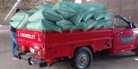 توريد 1301 طن قمح لمواقع التخزين والصوامع على مستوى الدقهلية