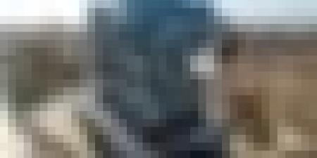 إطلاق أوامر دفع المرحلة الثانية من الشطر الأول لمكتتبي “عدل 3"