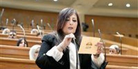 إليزابيث شاكر: إدراج الممتنعين عن سداد النفقات على قوائم المنع من السفر خطوة للعدالة الناجزة