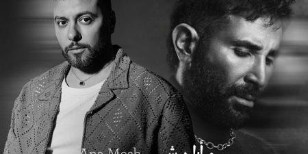 من شيرين إلى بوسي ثم أحمد سعد.. القصة الكاملة لأغنية «أنا مش فاهمني»