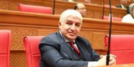 النائب أشرف سليمان لـ برلمان تحيا مصر: يجب إعطاء فرصة أخرة للموظف المتعاطي ومنح فرصة علاج حقيقية