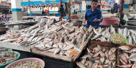 البلطي بين 85 و100 جنيه.. هدوء نسبي يسيطر على سوق الأسماك