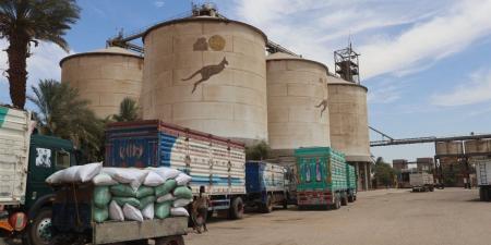 محافظ سوهاج يتفقد حصاد محصول القمح بأحد الحقول