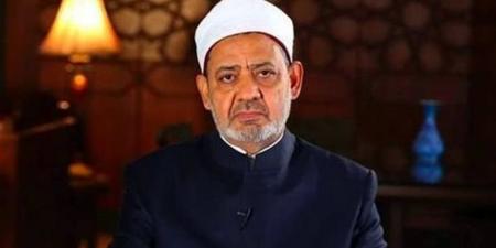 شيخ الأزهر يلتقي رئيس فنلندا ضمن برنامج زيارته الرسمية إلى مصر