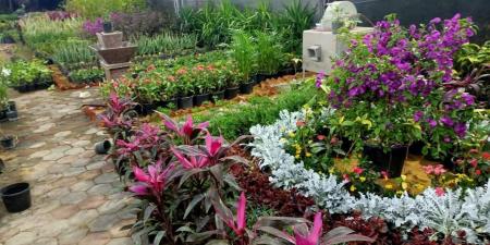 معرض زهور الربيع 2026.. المواعيد وأسعار التذاكر وطريقة الوصول