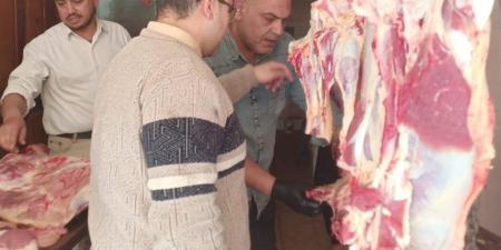 تحصين 113 ألف رأس ماشية خلال حملات مكبرة بالقليوبية