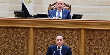 نص بيان الحكومة أمام البرلمان لاستعراض إجراءات مواجهة تداعيات الازمة الاقتصادية