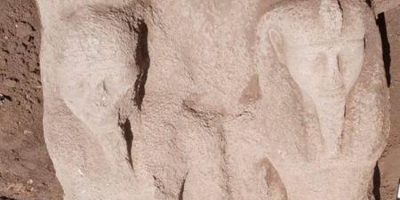 الكشف عن تمثال ضخم بمنطقة تل فرعون بمحافظة الشرقية