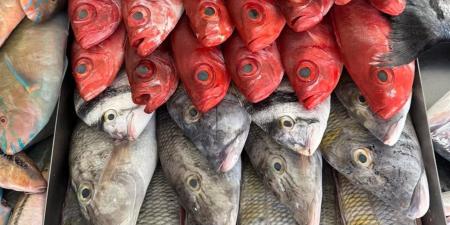 أسعار الأسماك والمأكولات البحرية في محافظة الغربية اليوم الأربعاء 22 إبريل 2026