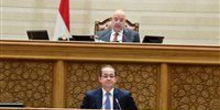 وزير المالية من البرلمان: سياسات السنوات الماضية وضعت الاقتصاد المصري على مسار أقوى ونستهدف نموًا أعلى في الموازنة الجديدة