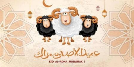 موعد هلال ذي الحجة 2026 في مصر وتفاصيل وقفة عرفات وعيد الأضحى فلكيًا