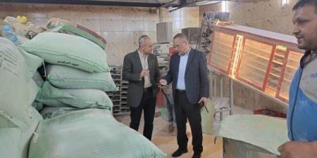 تموين الدقهلية تُكثّف حملاتها الرقابية وتضبط 32 طن مخلل فاسد وتحرر 142 محضرًا في يوم واحد