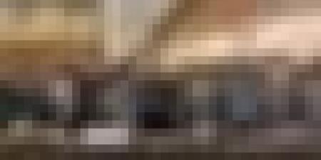 الجزائر تدعو إلى تطوير نماذج ذكاء اصطناعي أكثر ملاءمة للدول الأفريقية