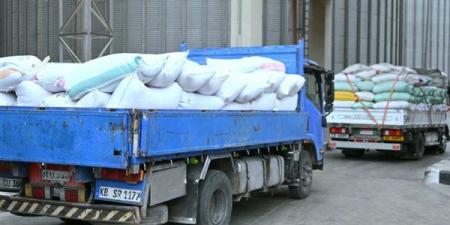 39 موقعًا مجهزًا لتوريد القمح بالبحيرة