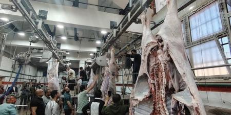 يخدم 75 قرية ومليون مواطن.. بدء التشغيل التجريبي لمجزر الزقازيق بمحافظة الشرقية