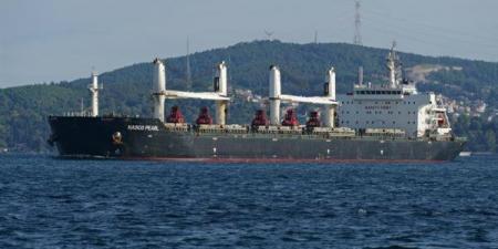 تصدير 50 الف طن فوسفات للصين عبر ميناء سفاجا