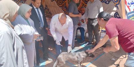 محافظ الدقهلية يتابع جهود الطب البيطري في تسيير القوافل الطبية البيطرية