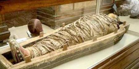 نص أدبي يوناني داخل أحشاء "مومياء مصرية" يثير حيرة العلماء