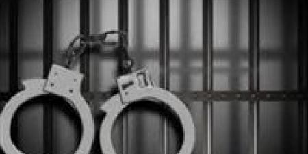 «فيديو مضلل وصراع ميراث».. ضبط صاحب ادعاء التعدي على يد شقيقه بالفيوم