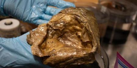 بعد عامين من الغموض.. علماء يفكون لغز "الكرة الذهبية" في قاع المحيط