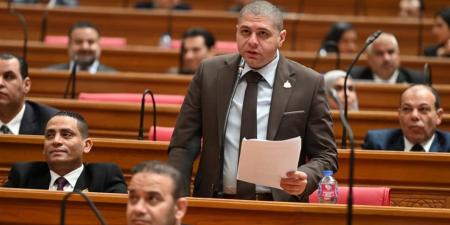 النائب أحمد جبيلي: مجمع المحاكم الجديد بالجيزة ينهي معاناة سنوات ويوحد جهات التقاضي