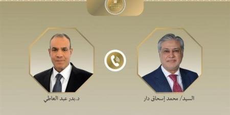 اتصال هاتفي بين وزير الخارجية ونظيره الباكستاني لبحث مسار المفاوضات الأمريكية - الإيرانية