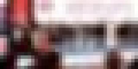 جسر جوي لنقل 30 ألف رأس بقر من الولايات أمريكية لتجسّيد مشروع بلدنا الجزائر