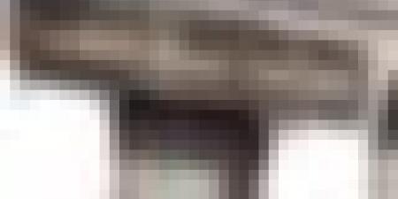 السلطة الوطنية المستقلة للانتخابات توضح شروط القابلية للترشح لتشريعيات 2 جويلية 2026