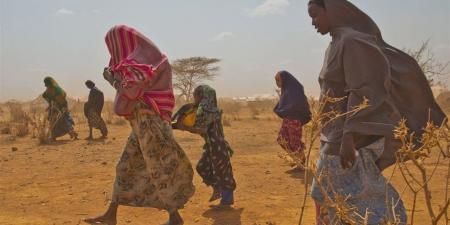 عاجل.. الجفاف يشرد 62 ألف شخص في الصومال مع اشتداد الصدمات المناخية