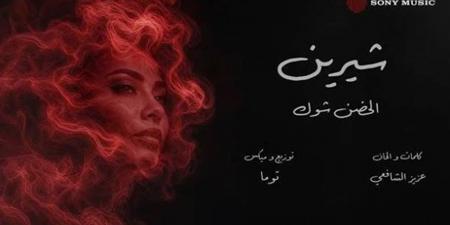 شيرين عبدالوهاب تعود بـ"الحضن شوك".. أغنية تكشف جرح القريب ومعاناة الخذلان (فيديو)