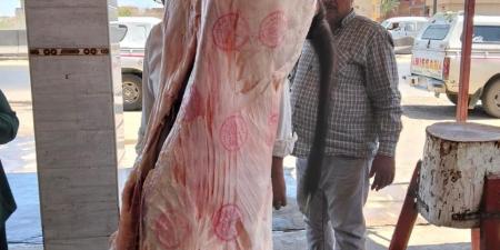 الزراعة: حملات رقابية موسعة بالمحافظات لمواجهة ذبح "البتلو" خارج المجازر