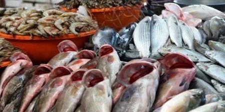 تراجع أسعار الأسماك اليوم الأحد 26 أبريل 2026
