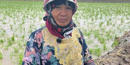 ولادها اتجوزوا وسابوها ٠٠ حكاية 40 سنة كفاح لامرأة وسط الحقول