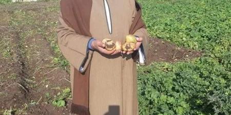 نقيب الفلاحين : ارتفاع اسعار الاسمده بالسوق الحر يقلق الفلاحين