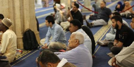 مظاهر الإعجاز في خلق الغراب.. ملتقى التفسير بالأزهر يكشف حكمة إلهية مدهشة