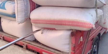 توريد 12.3 ألف طن قمح لمواقع التخزين والصوامع بالدقهلية