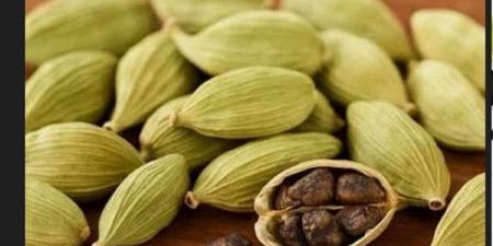 يحسن المزاج.. فوائد الحبهان لصحة الجسم