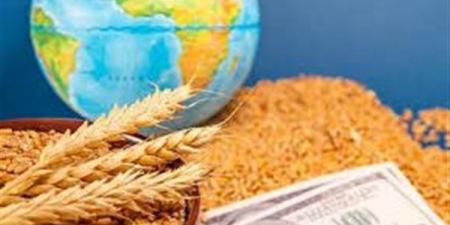 كيف تحقق الدولة التوازن بين الأمن الغذائي والمياه؟