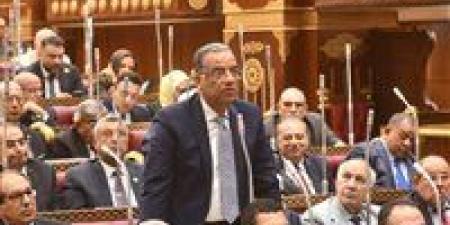 محمود مسلم: المعاشات استحقاق وليست منحة.. ونطالب بمزيد من الجهد لتعزيز الاستدامة