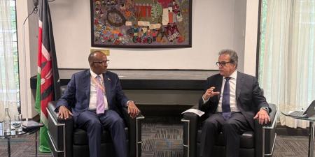 وزير الصحة يبحث مع نظيره الكيني تعزيز التعاون الصحي ونقل التجربة المصرية