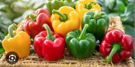 الفلفل الملون.. كنز غذائي يعزز المناعة ويحمي الجسم من الأمراض